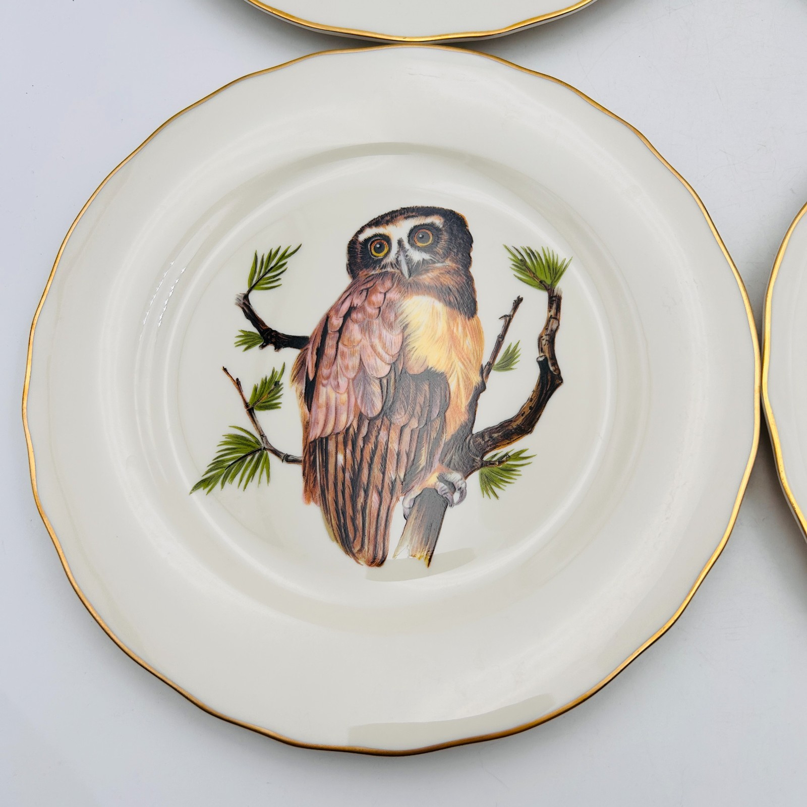 Vintage Pickard 4 Decorative Owls Plates Gold Trim Hangers MCM Birds Wall Art