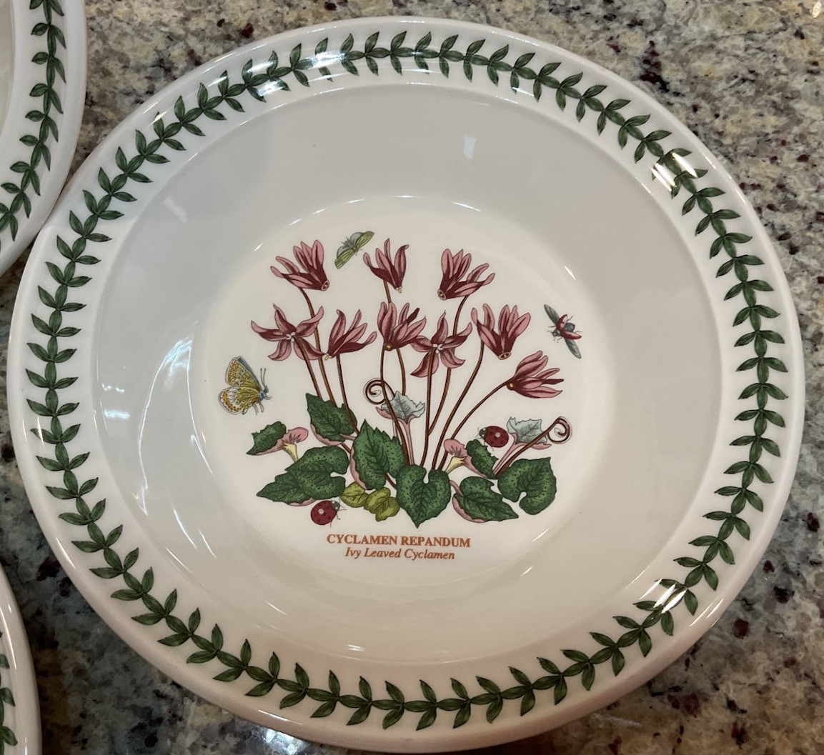 PORTMEIRION BOTANIC GARDEN (Set of 6) 8.5 in SOUP PLATE Made in England NWT