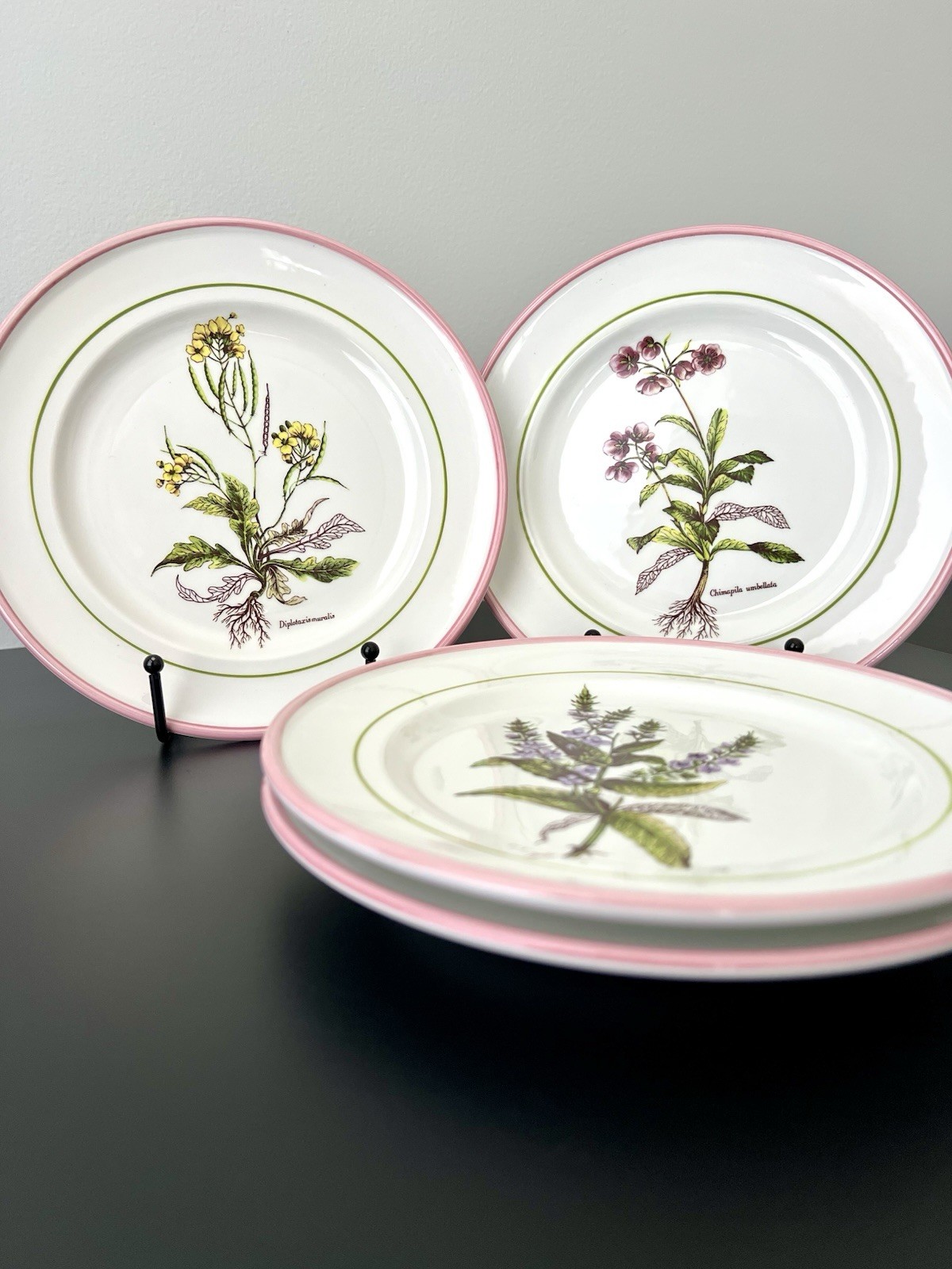 Vintage Botanical Plates 8″ Italy La Primula Hand-Painted Salad Plate Pink Rim