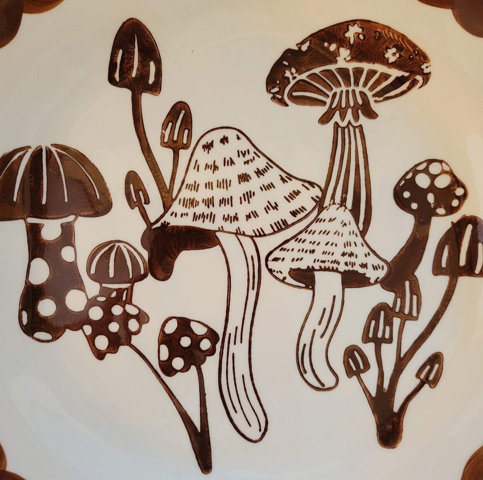 Potter’s Studio 3ct Luncheon Dinner Mushroom Plates Asymmetrical 10” Brown