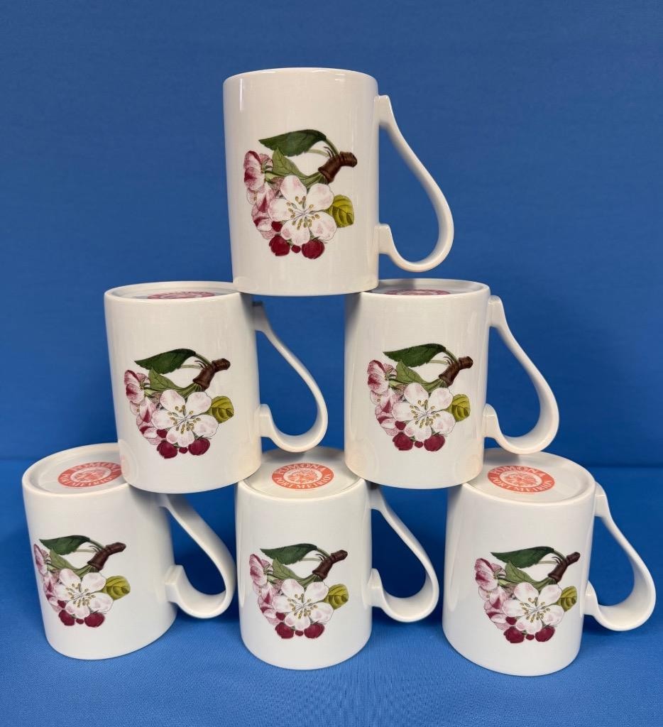 Lot of 6 Portmeirion Pomona Goddess of Fruit Coffee Mugs Cups – All Different