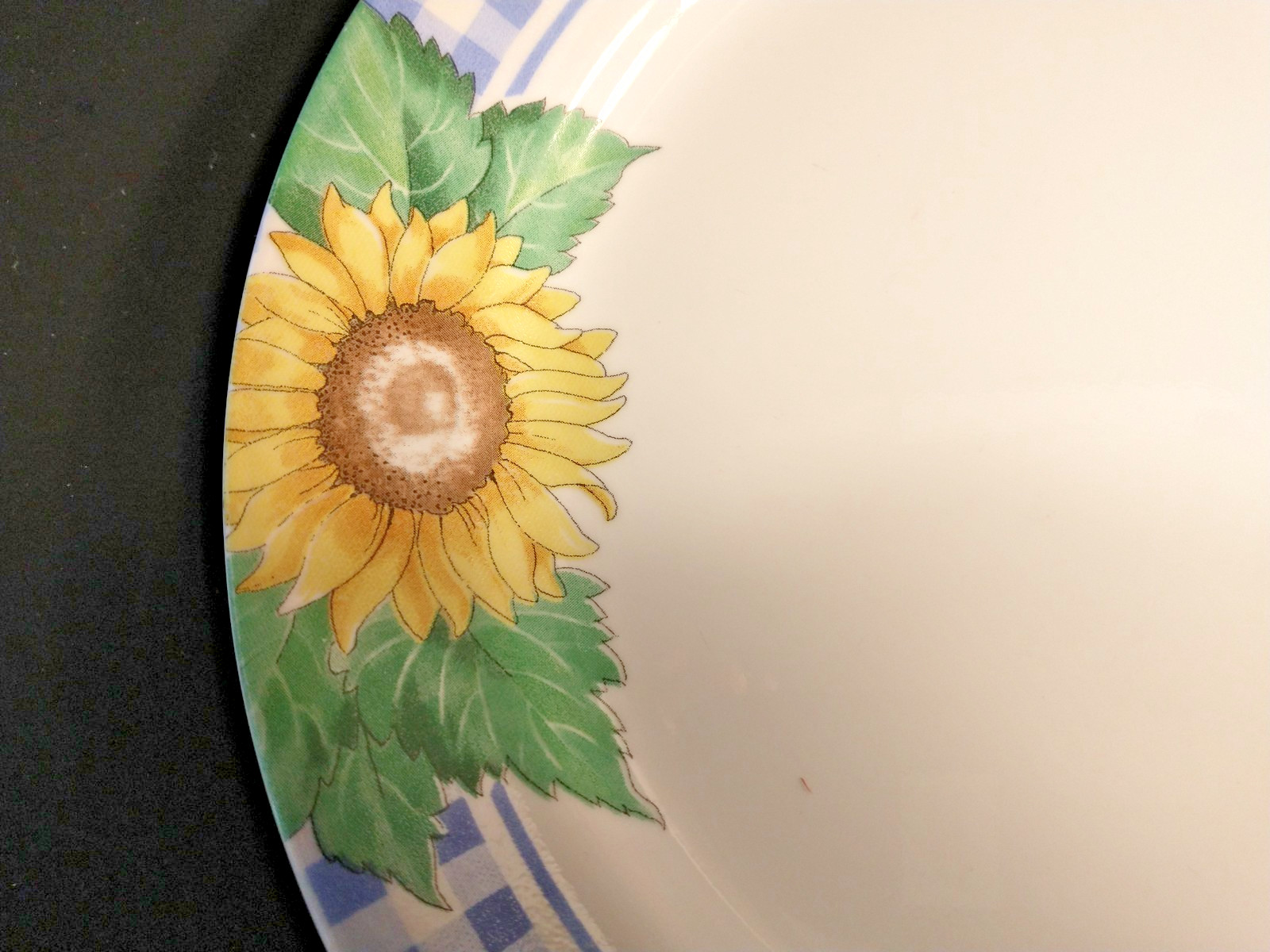 Corelle Sunsations Dinner Plate 10.25″ wide