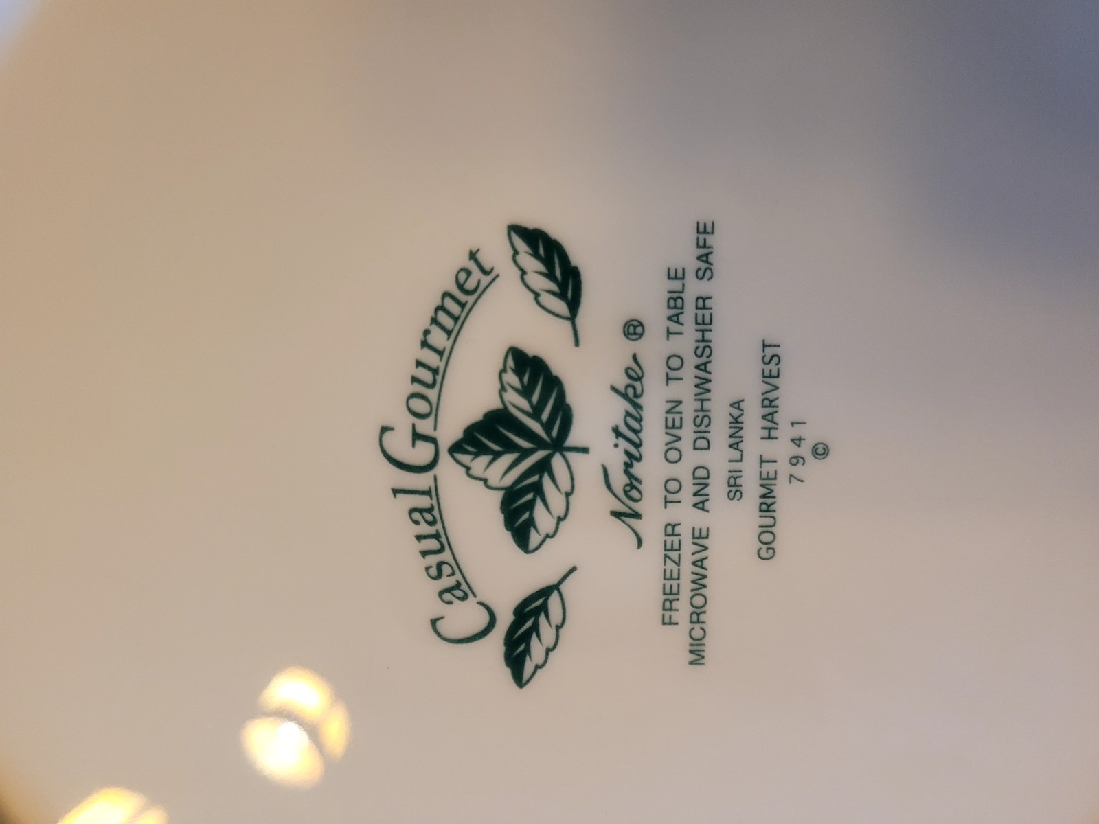 2 Noritake Casual Gourmet “GOURMET HARVEST” Dinner Plates 10-5/8″
