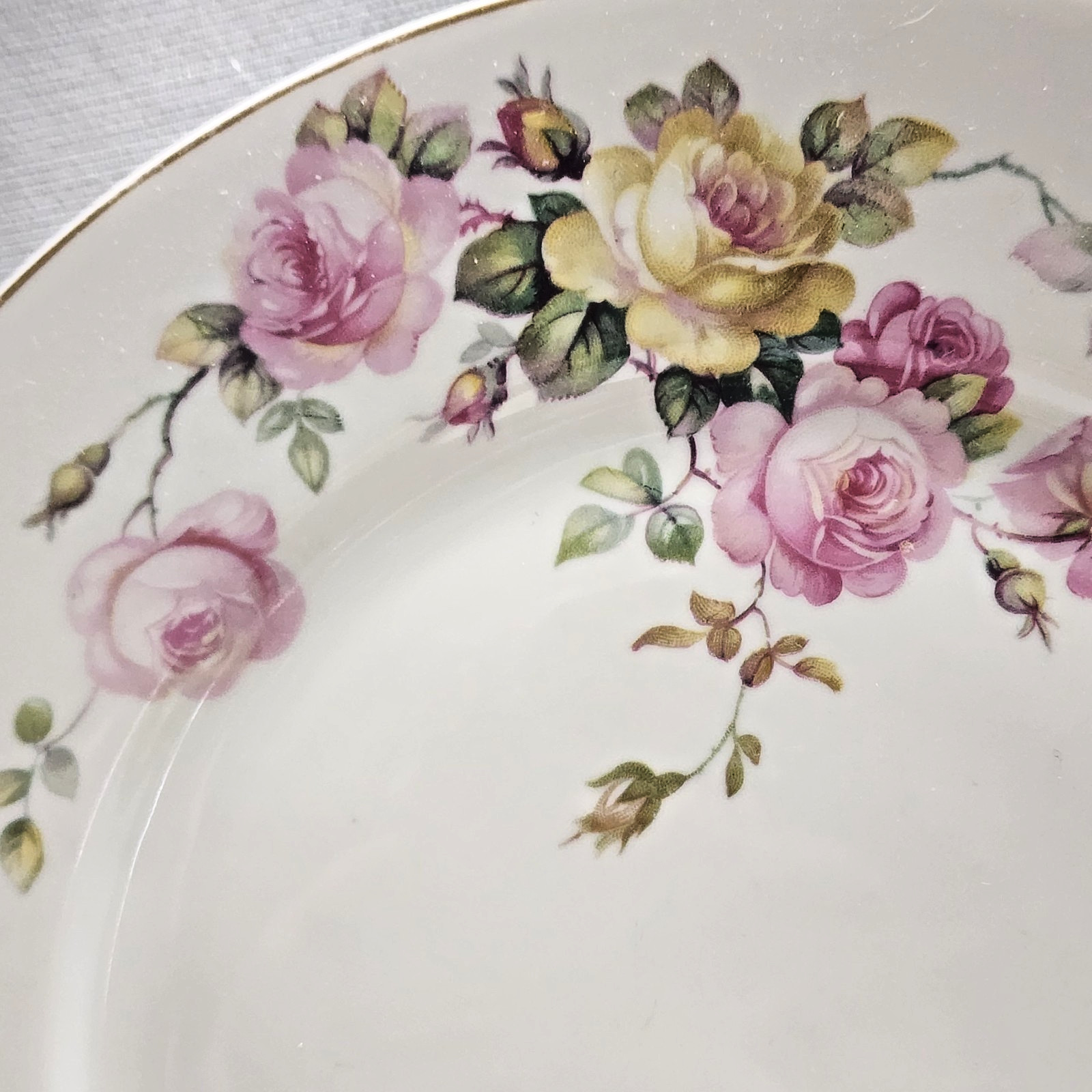 Mixed Roses TK Thun Bohemia & Paul Muller Selb Bavaria Dinner Salad Plates Roses