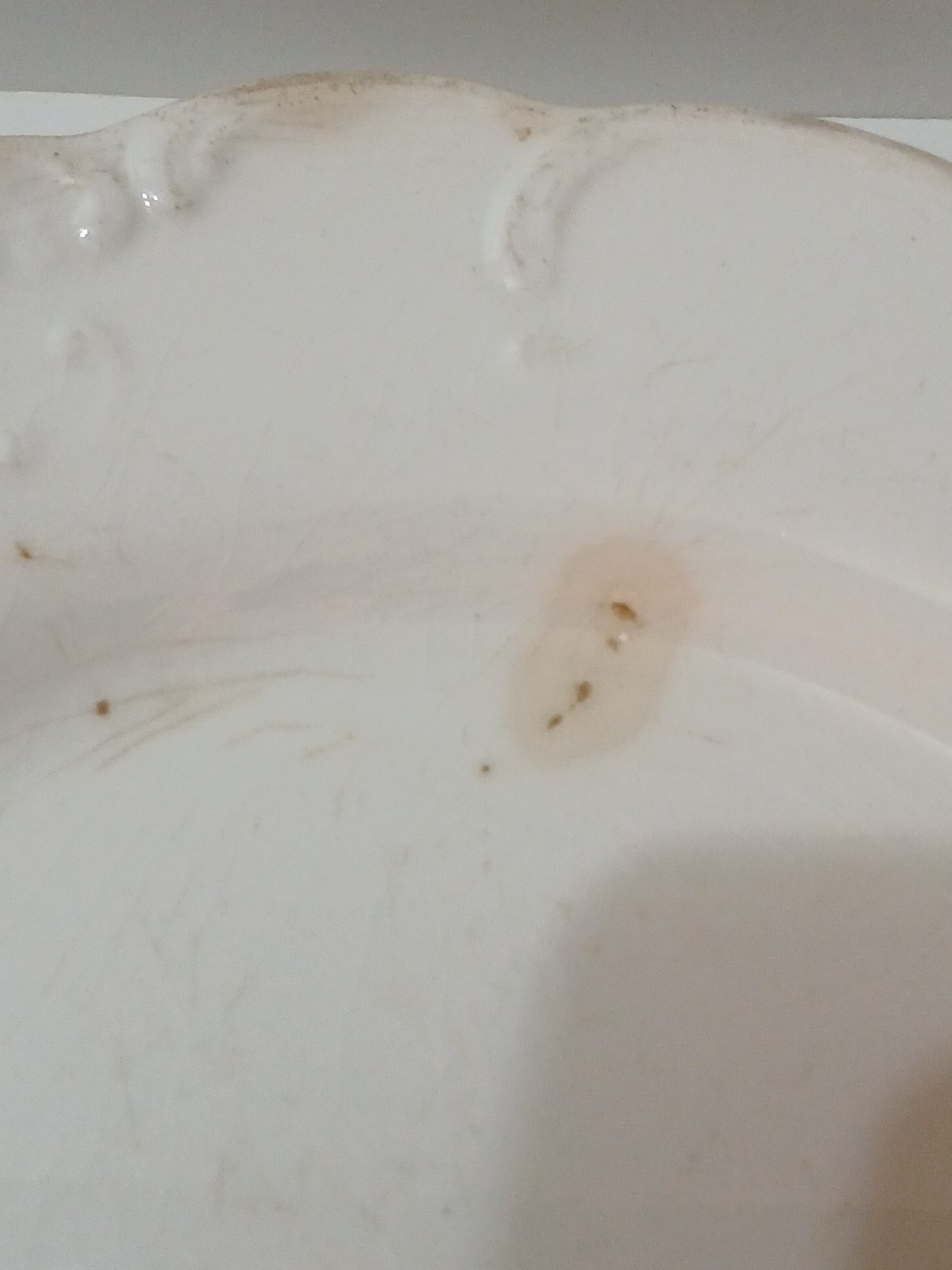 Antique Serving Plate