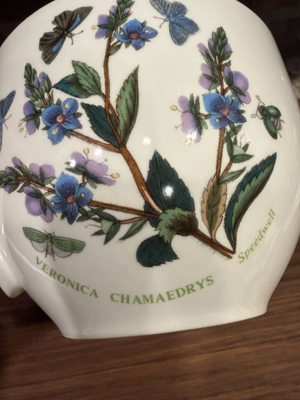 Portmeirion Botanic Garden Veronica Chamaedrys Speedwell Jumbo Coffee Tea Cup