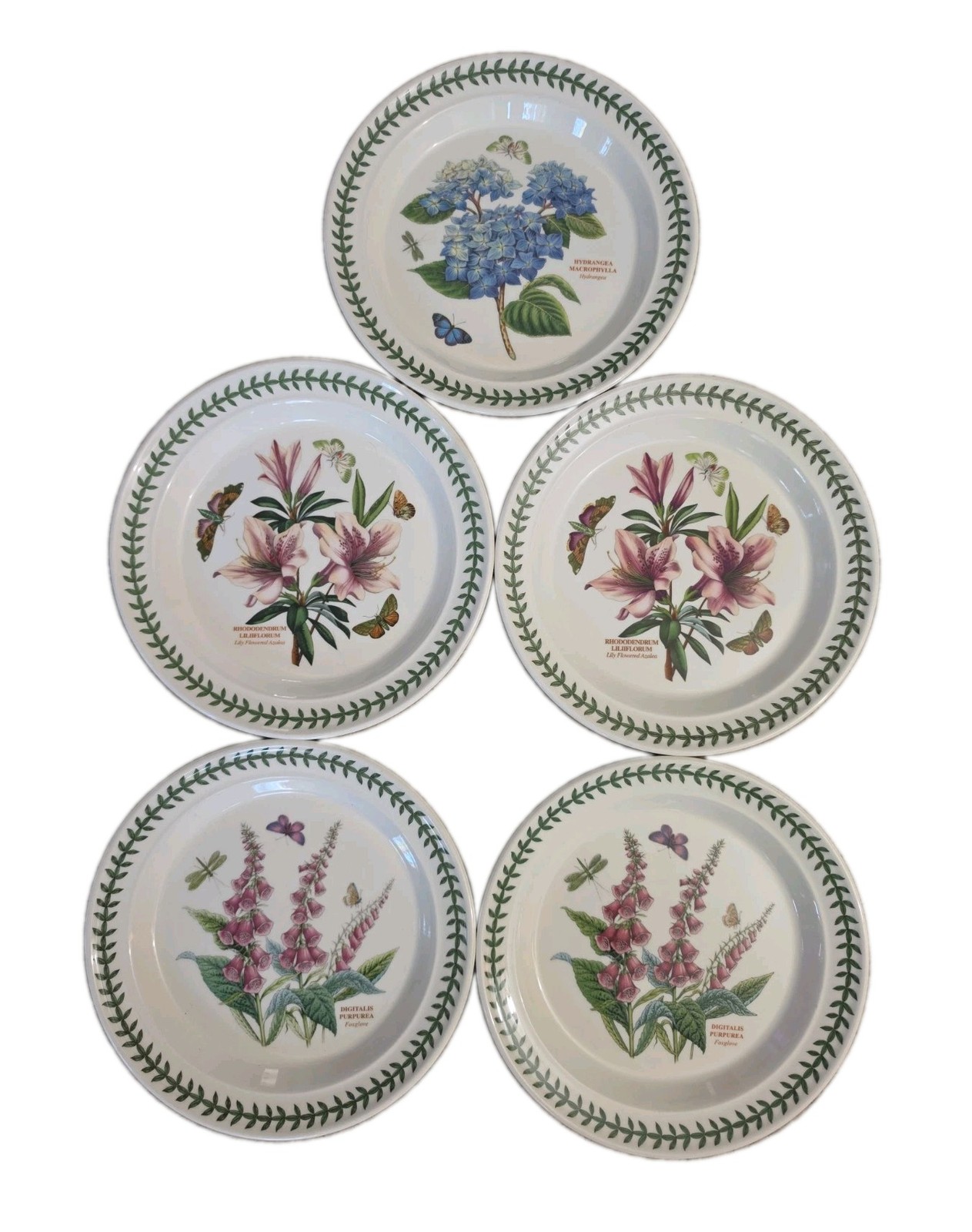 Vintage Set of 5 Portmeirion Botanic Garden Dinner Plates Flowers 10-1/2”