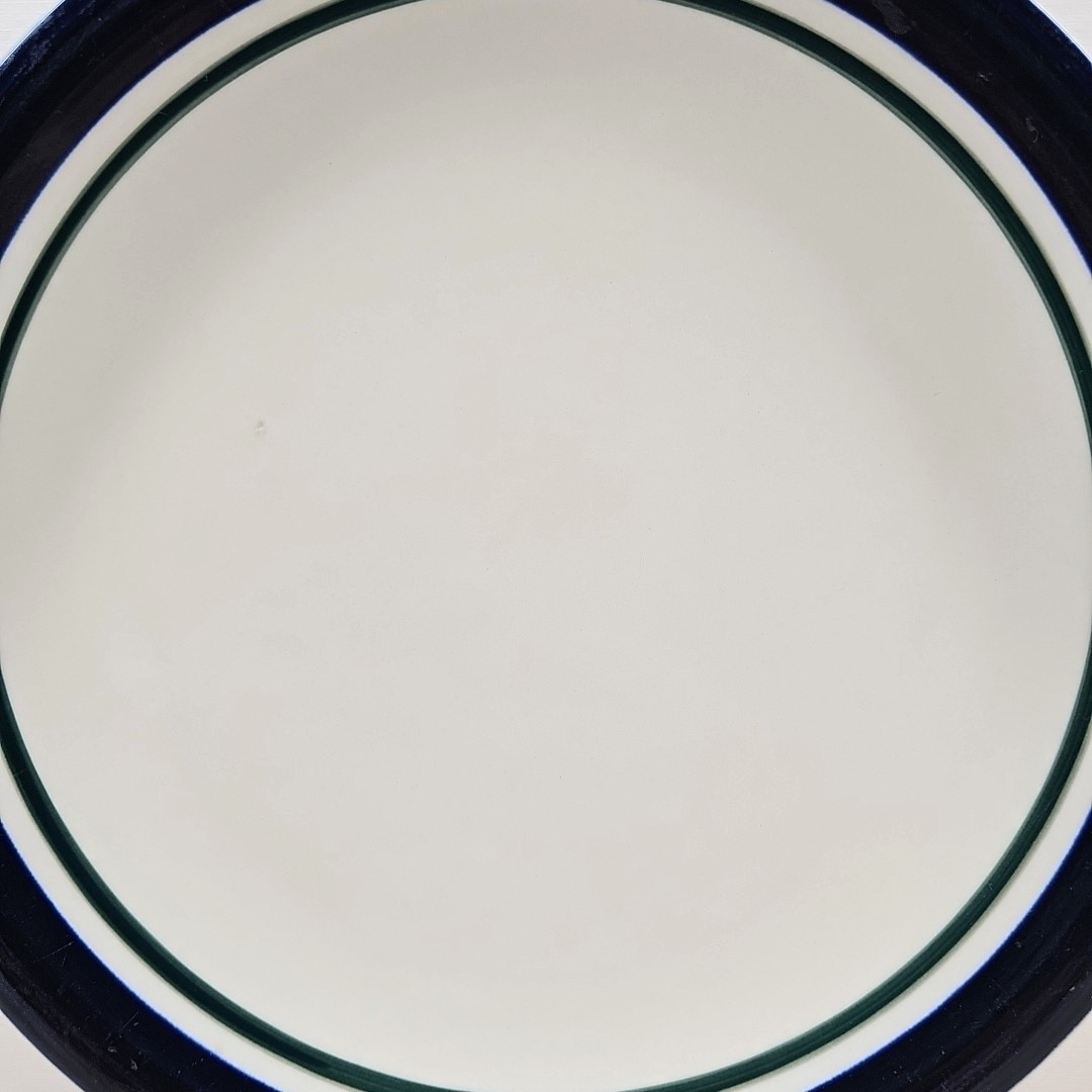 4 Tienshan Kitchen Basics Cobalt Green Dinner Plate Set Table Dining Dishes Lot