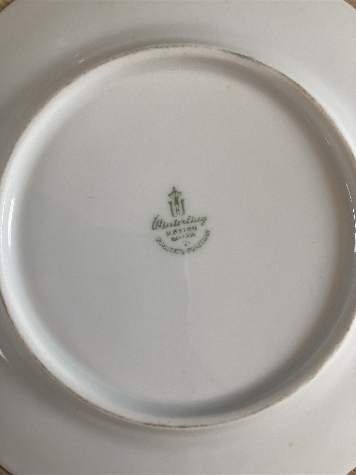 Lot of 5 Mitterteich Bavaria DOGWOOD desert Plate (s) 6,5”