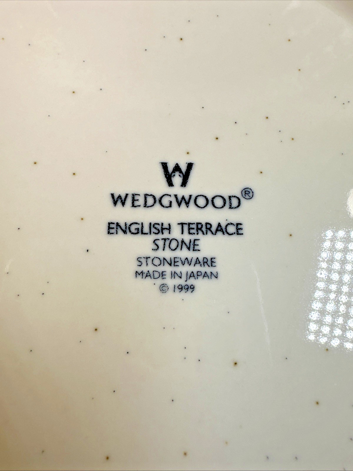 VTG Pair of WEDGWOOD Pasta/Soup Bowl English Terrace Stone Japan 1999 10.25” EVC
