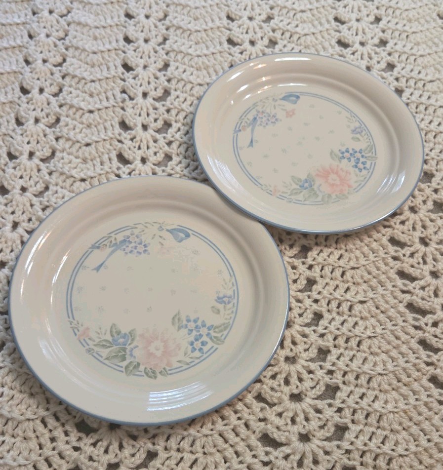 Set of 2- 8.5″ Corelle Symphony Luncheon Plates Pair