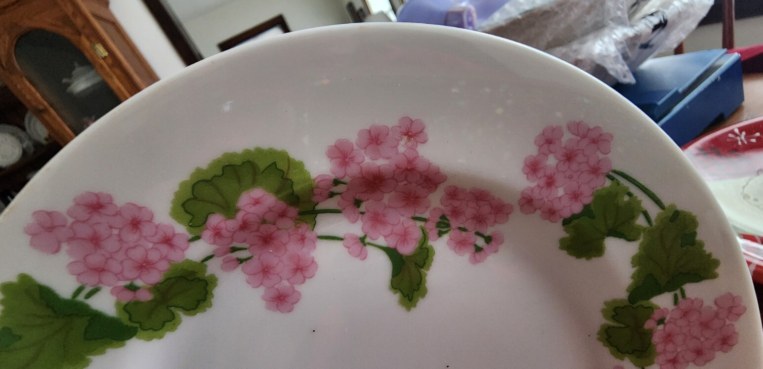 Because Salad Plate (s) 7 1/2″ Round Mikasa L9006 Japanese White Pink Green !