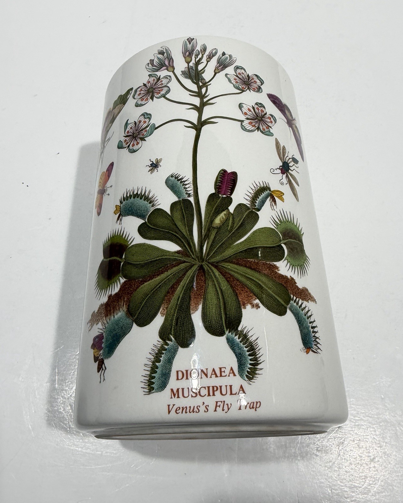 Botanic Garden Dionaea Muscipula Venus Fly Trap ~ Utensil Holder 7.5” Tall EUC