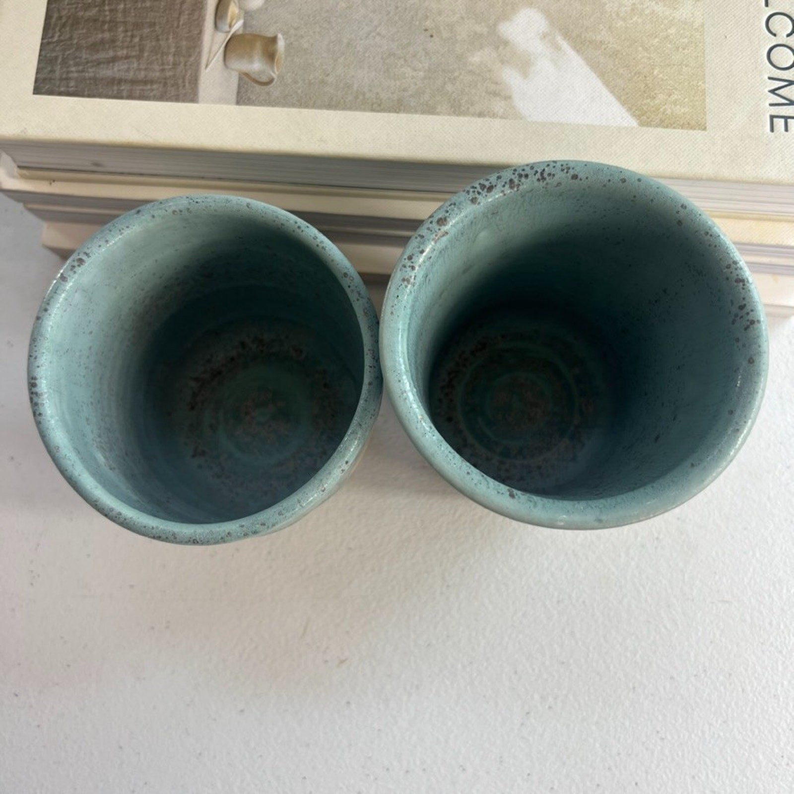 Unmarked Stoneware Tumbler Cups Speckled Blue Etched Tree Design Set of 2