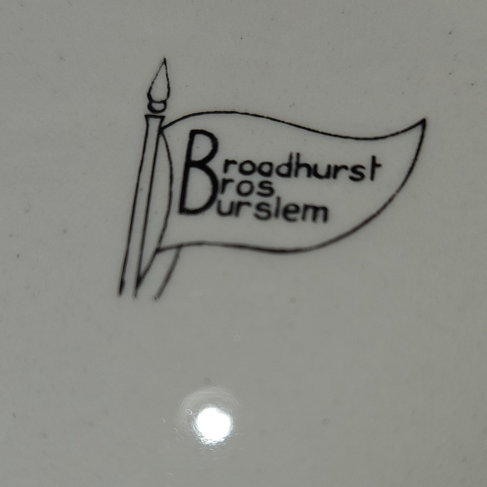 Broadhurst Bros Burslem Oval Ceramic Platter White Food Pattern Glossy