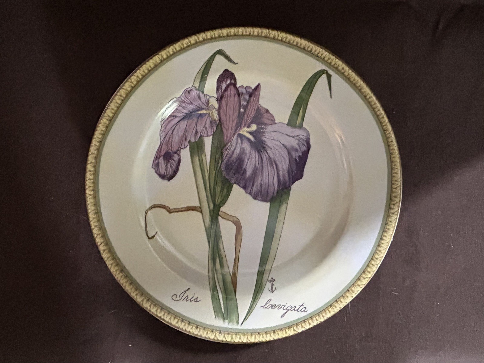 Vintage American Atelier Botanical 8″ Decorative Plates Orchid & Iris Set Of 4