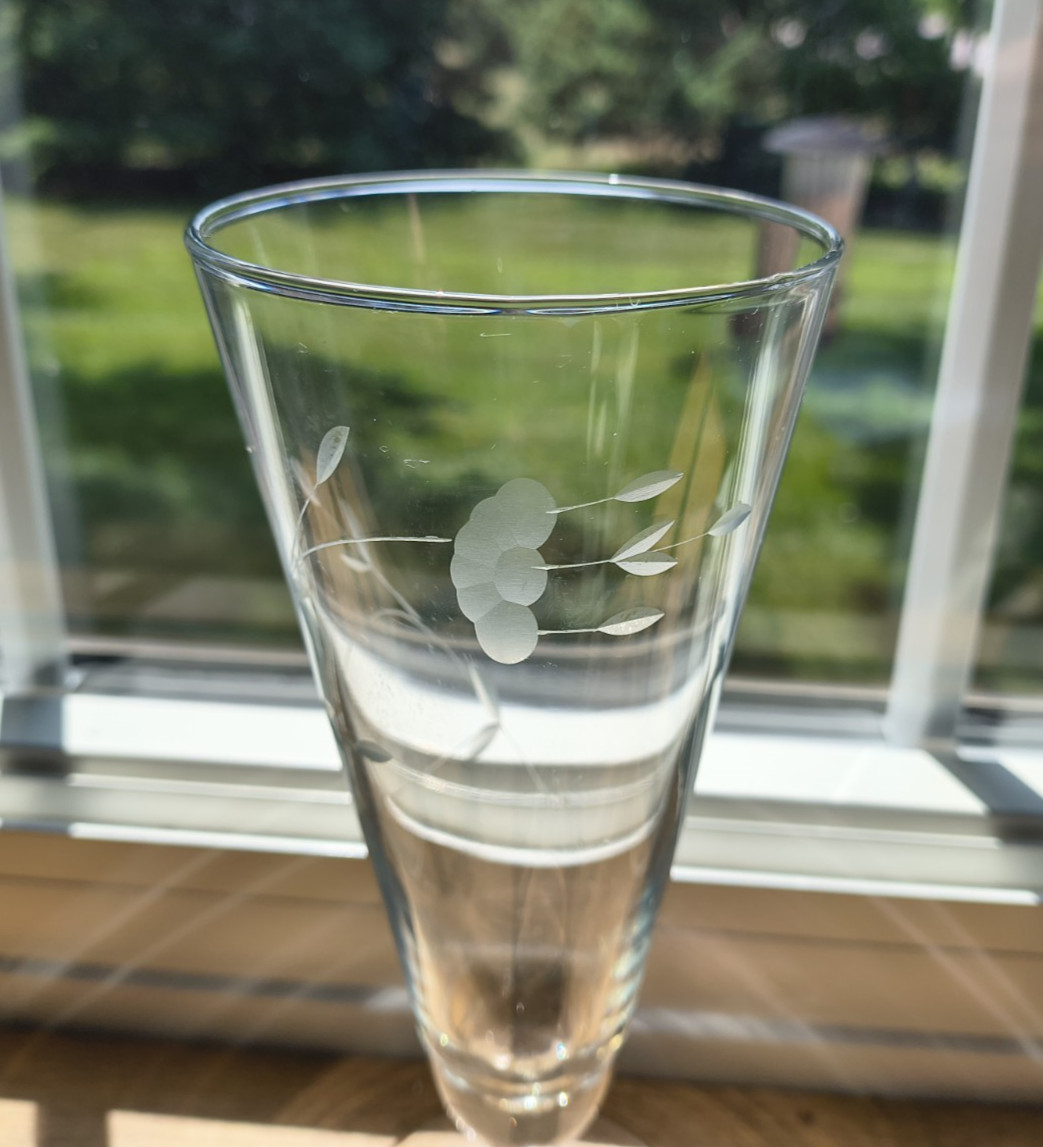 Princess House Pilsner Glasses, Heritage, used (B4)