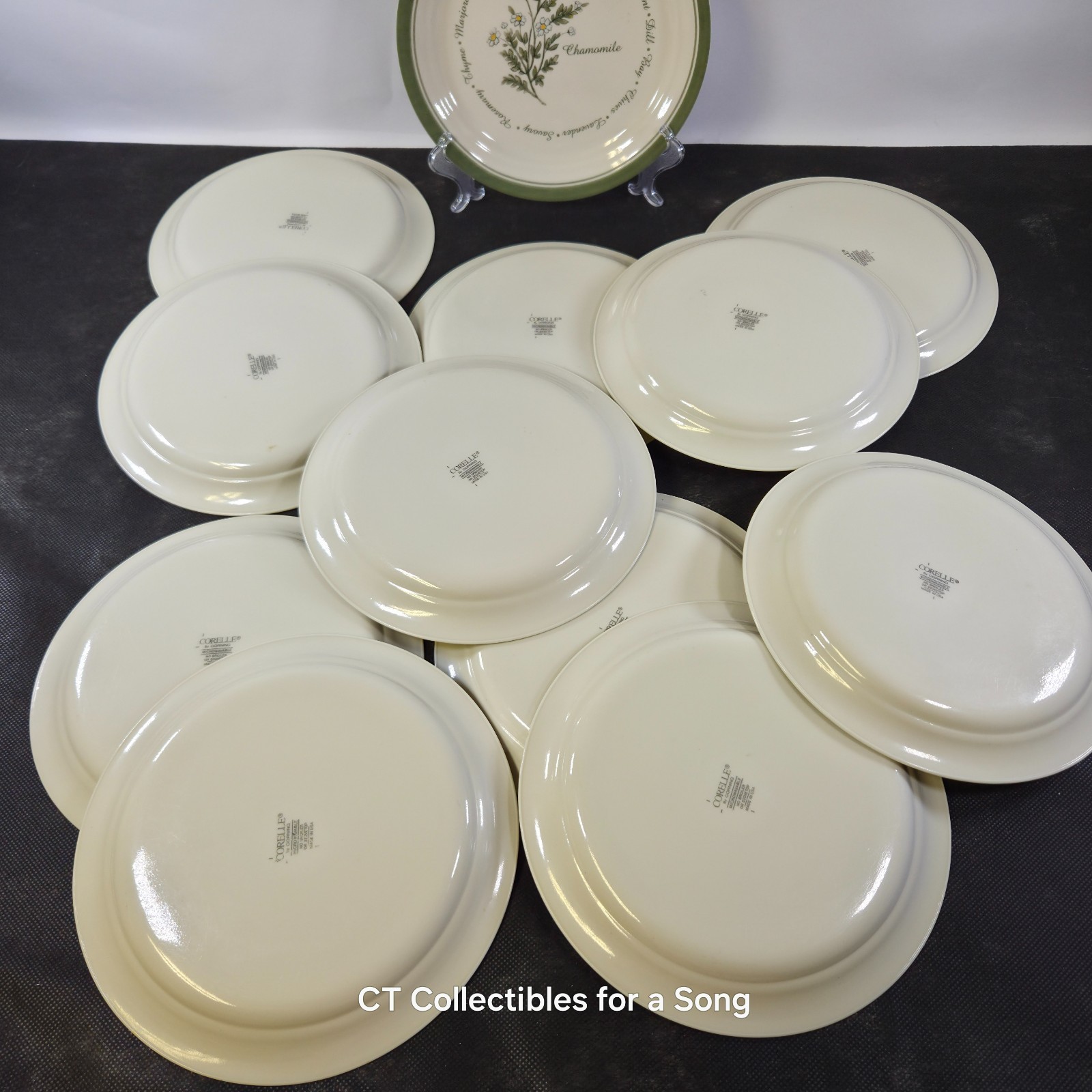 VTG Set 12 Corelle Thymeless Herbs Luncheon/Salad Plates 8 1/2″ Green