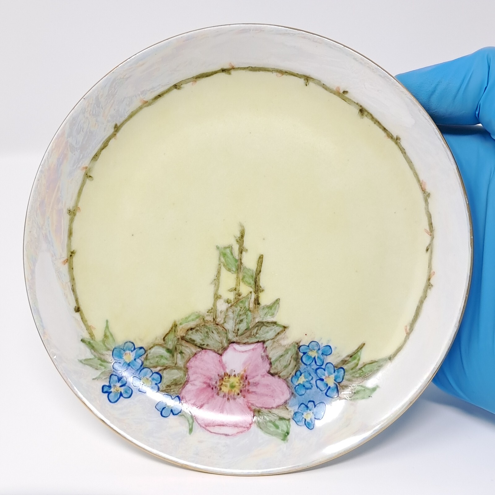 Hutschenreuther 6″ Porcelain Plates set of 6 handpainted florals lustre rim Selb