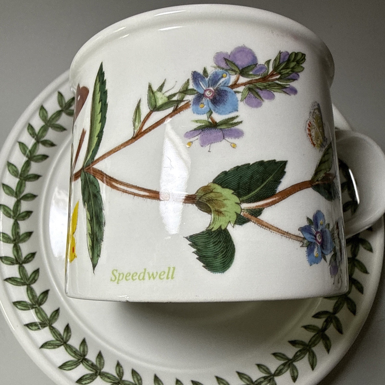 Portmeirion Botanic Garden Set of 6 Flat Cups & Saucers Made in England Assorted