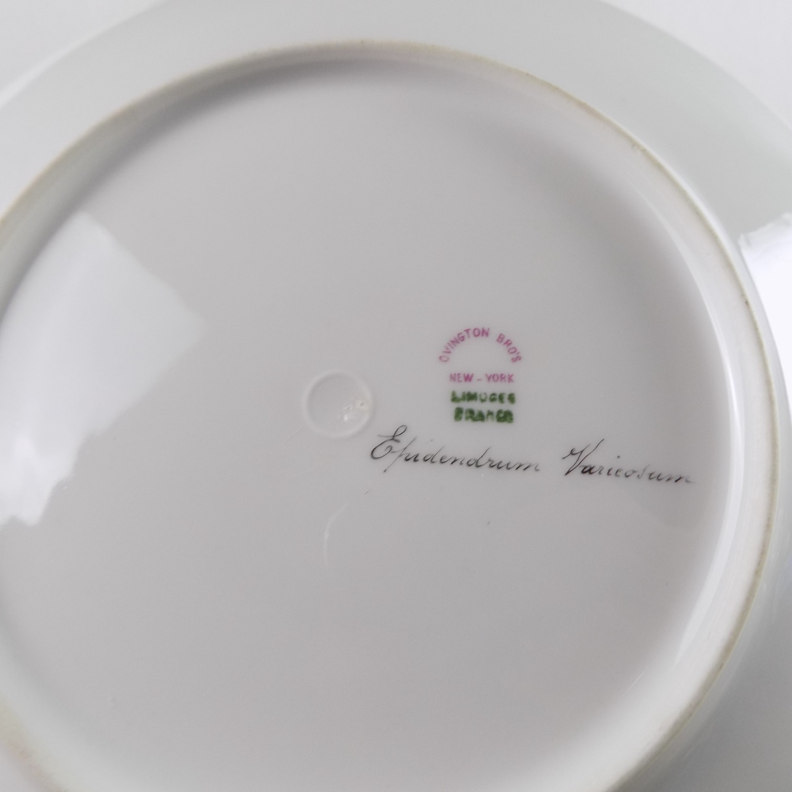 10 Antique T&V Limoges Hand Painted Botanical Plates Ovington Bros New York