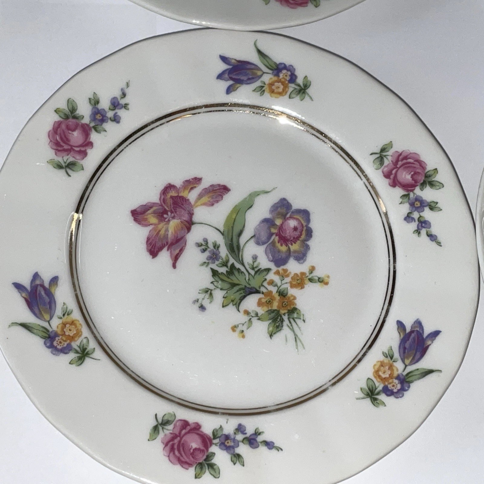 Raynaud Limoges Dresden Floral Style 6 bread dessert Plates 6 1/4” Gimbel bros.