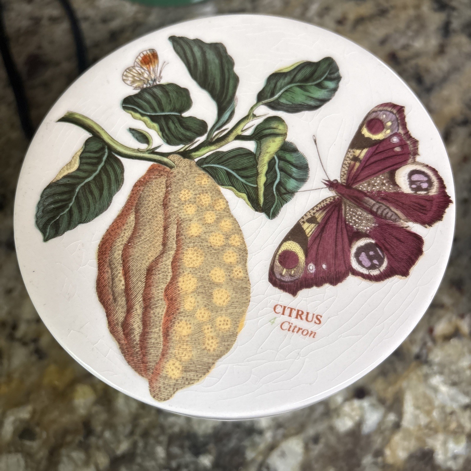 PORTMEIRION BOTANIC GARDEN CITRON (Citrus) 5″ JAR VERY RARE/Great CONDITION