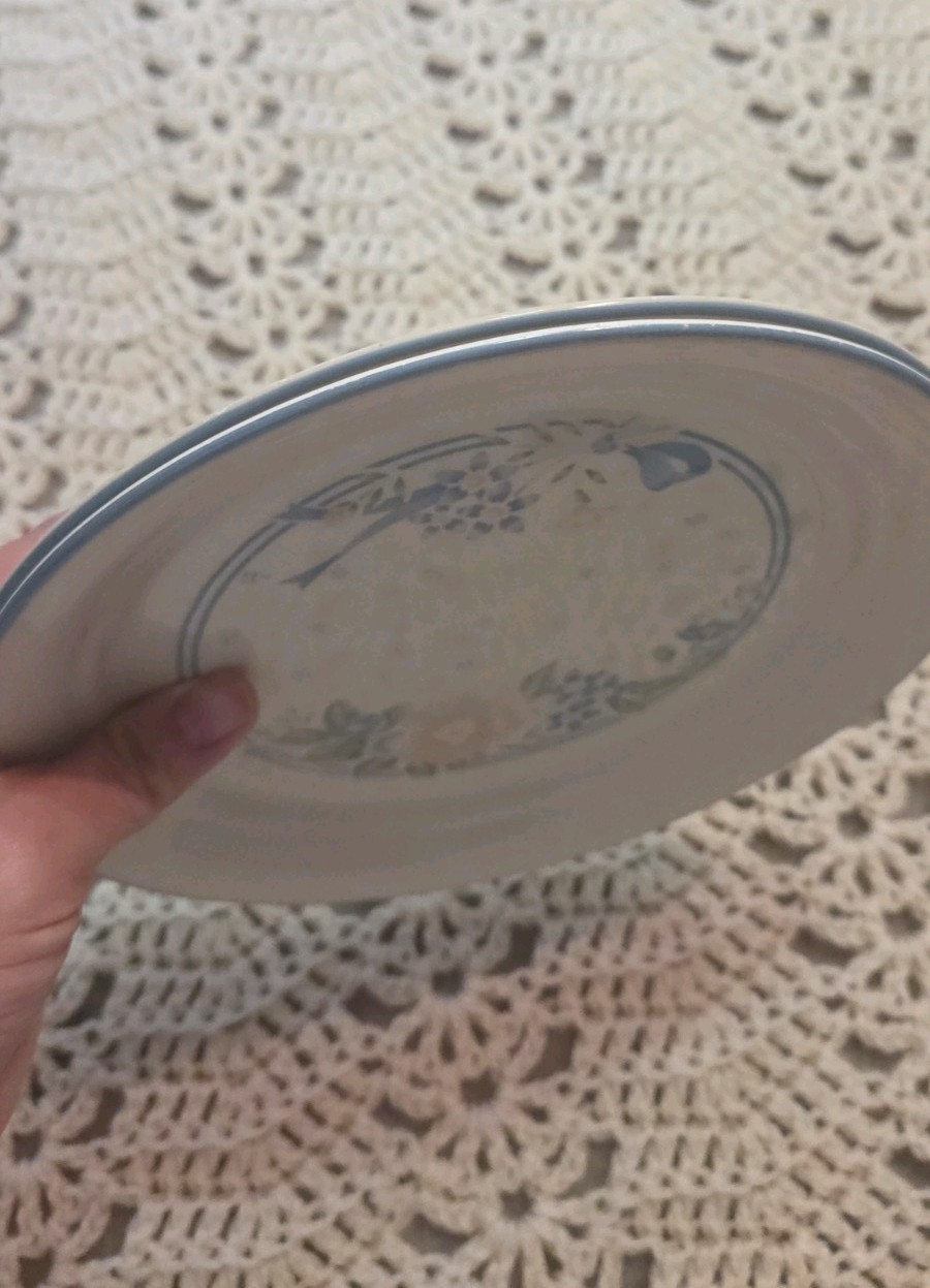Set of 2- 8.5″ Corelle Symphony Luncheon Plates Pair