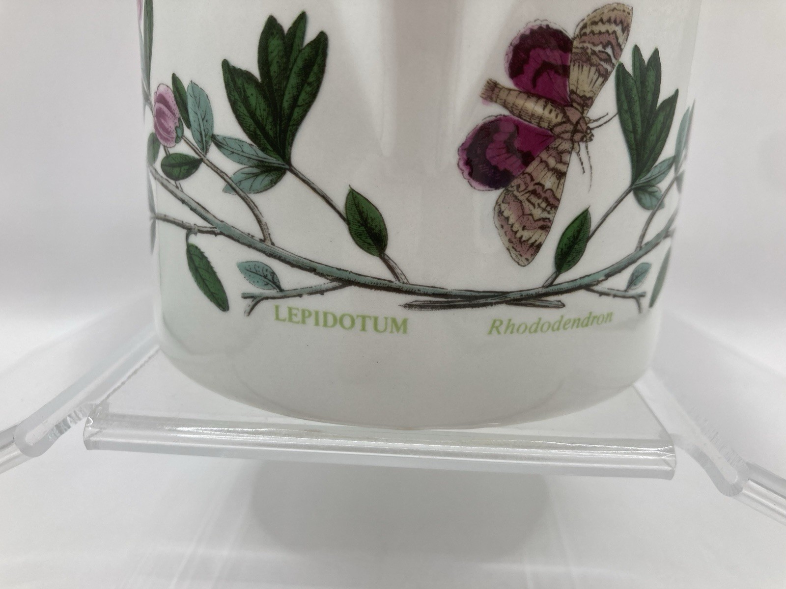 Large Portmeirion Botanic Garden Creamer Rhododendron Lepidotum 3.5″ T X 5″ T