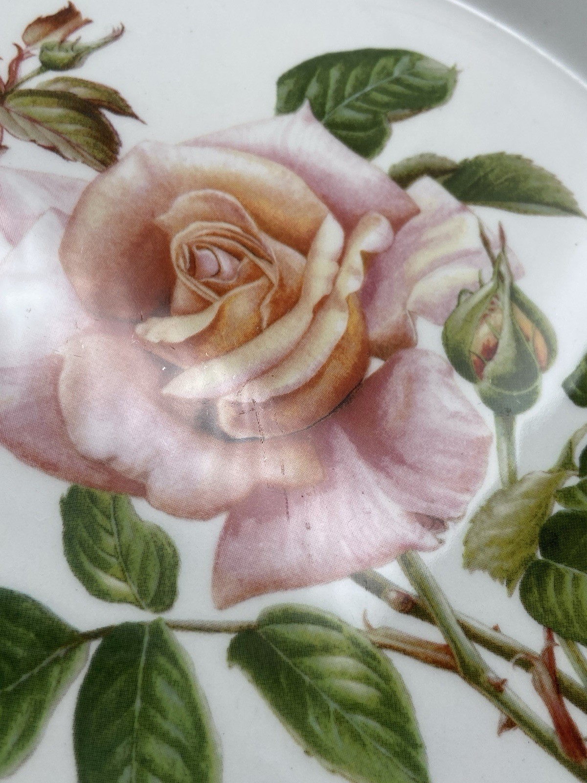 6 Portmeirion Botanic Garden Salad Plates Britain Roses Butterflies 8-1/2”