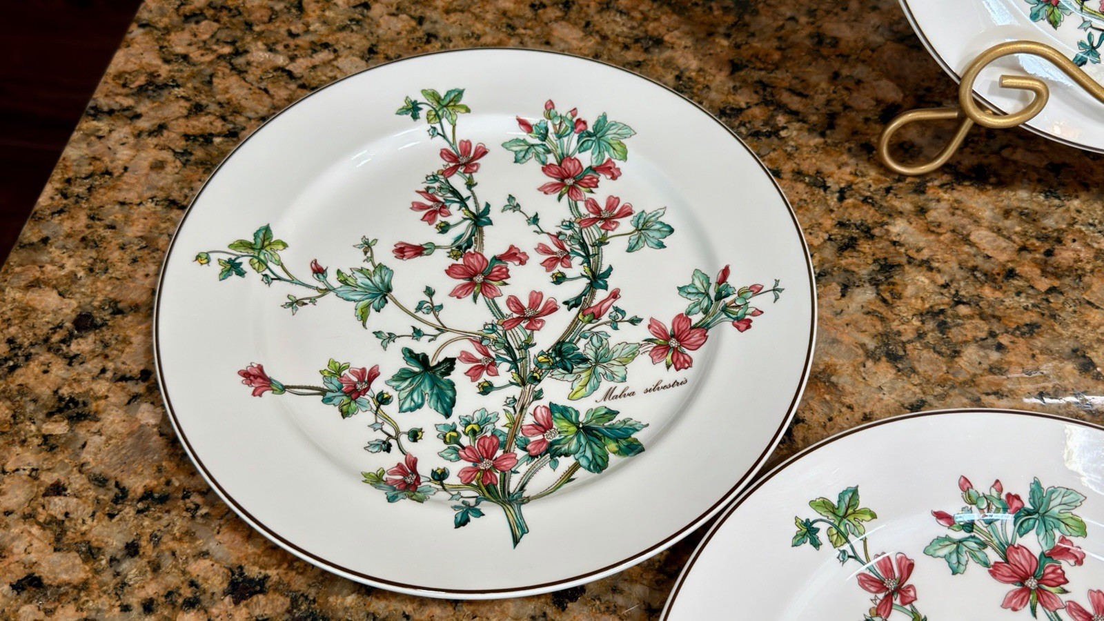 VTG Villeroy Boch Botanica Malva Silvestris 6 Dinner Plates 10-3/8 Luxembourg