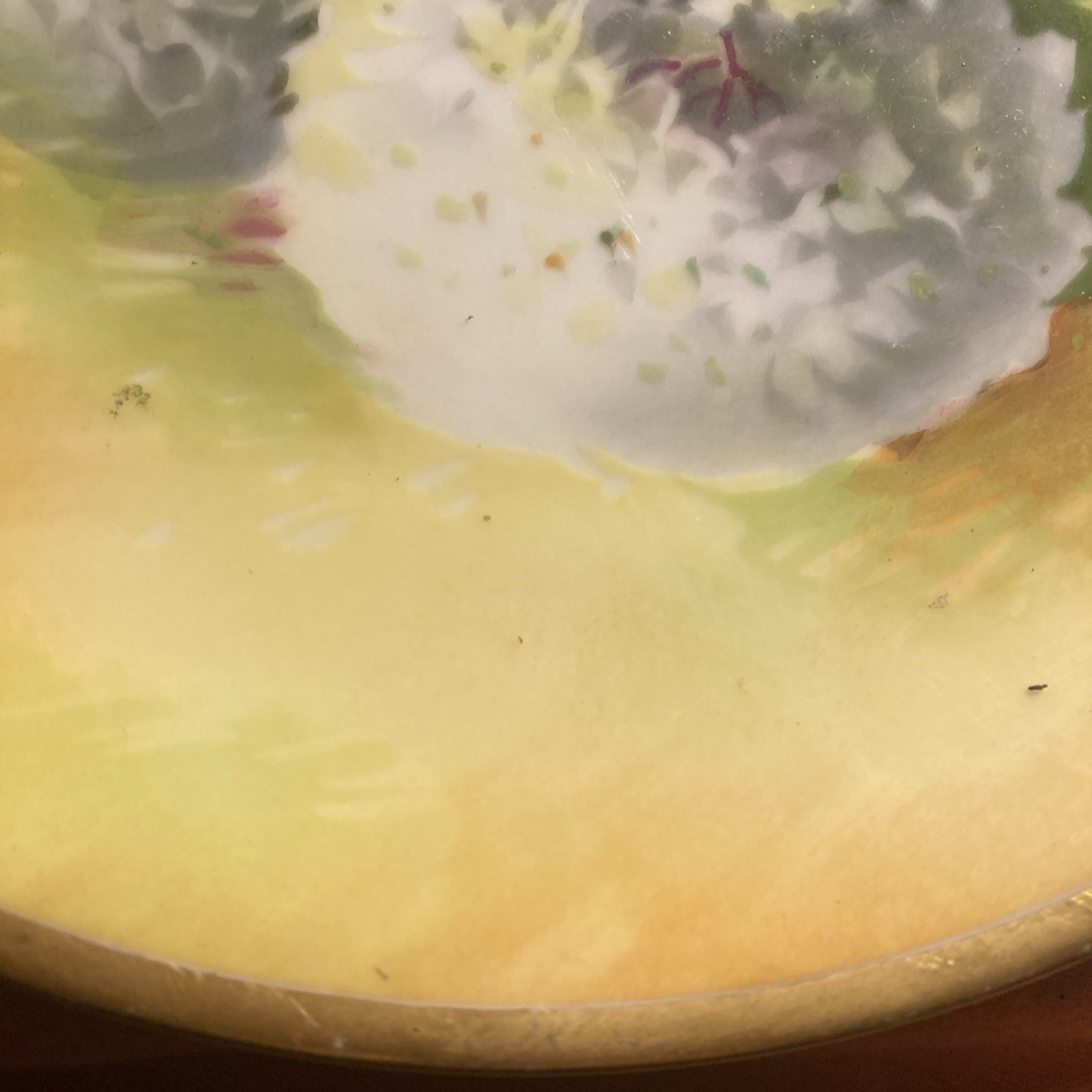 Antique c.1900s Lanternier Limoges France Hand Painted Signed White Floral Plate