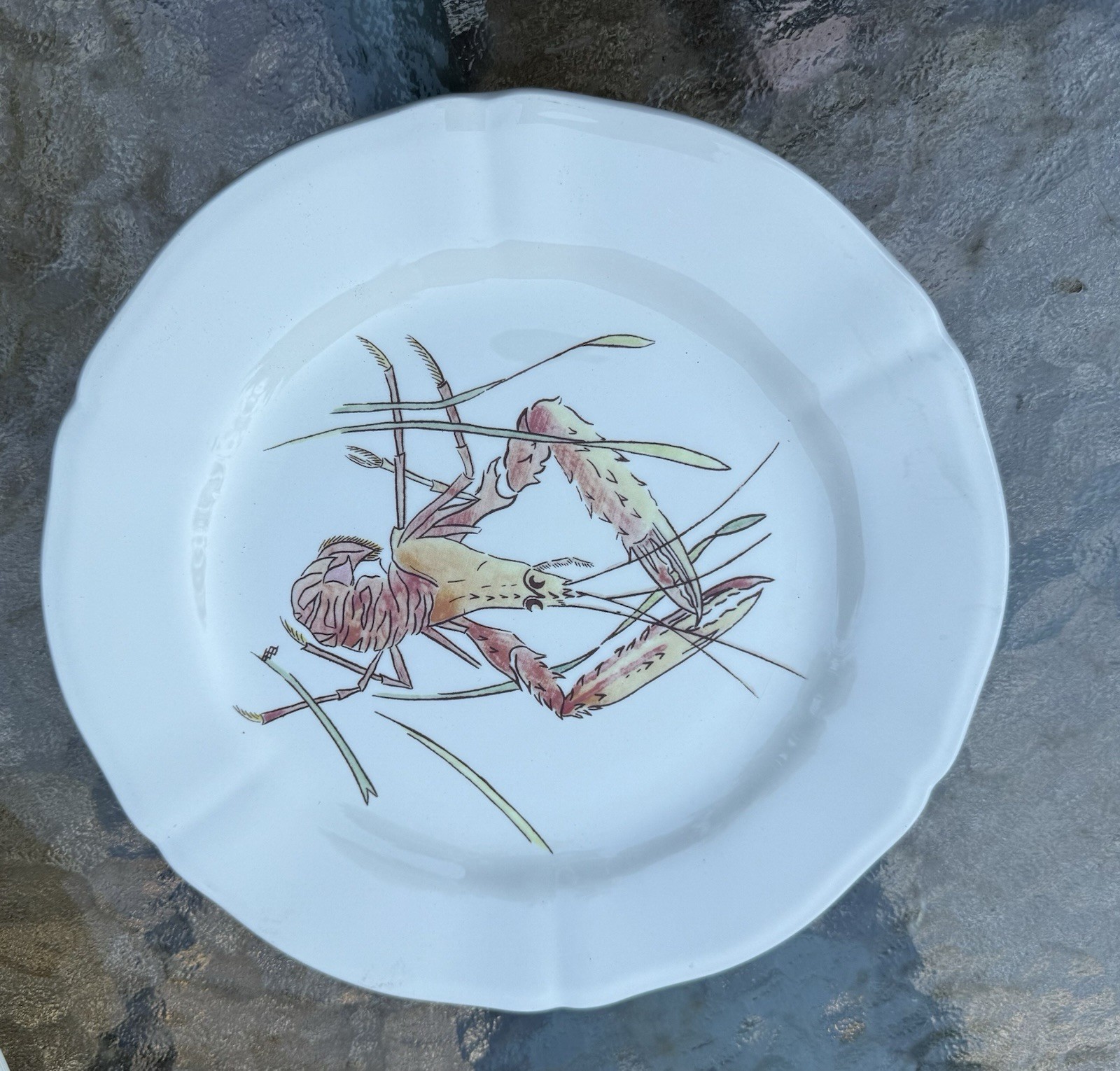 Gien Grands Crustaces 9” Salad Scalloped Plate Set Shellfish France 2015 Set-6