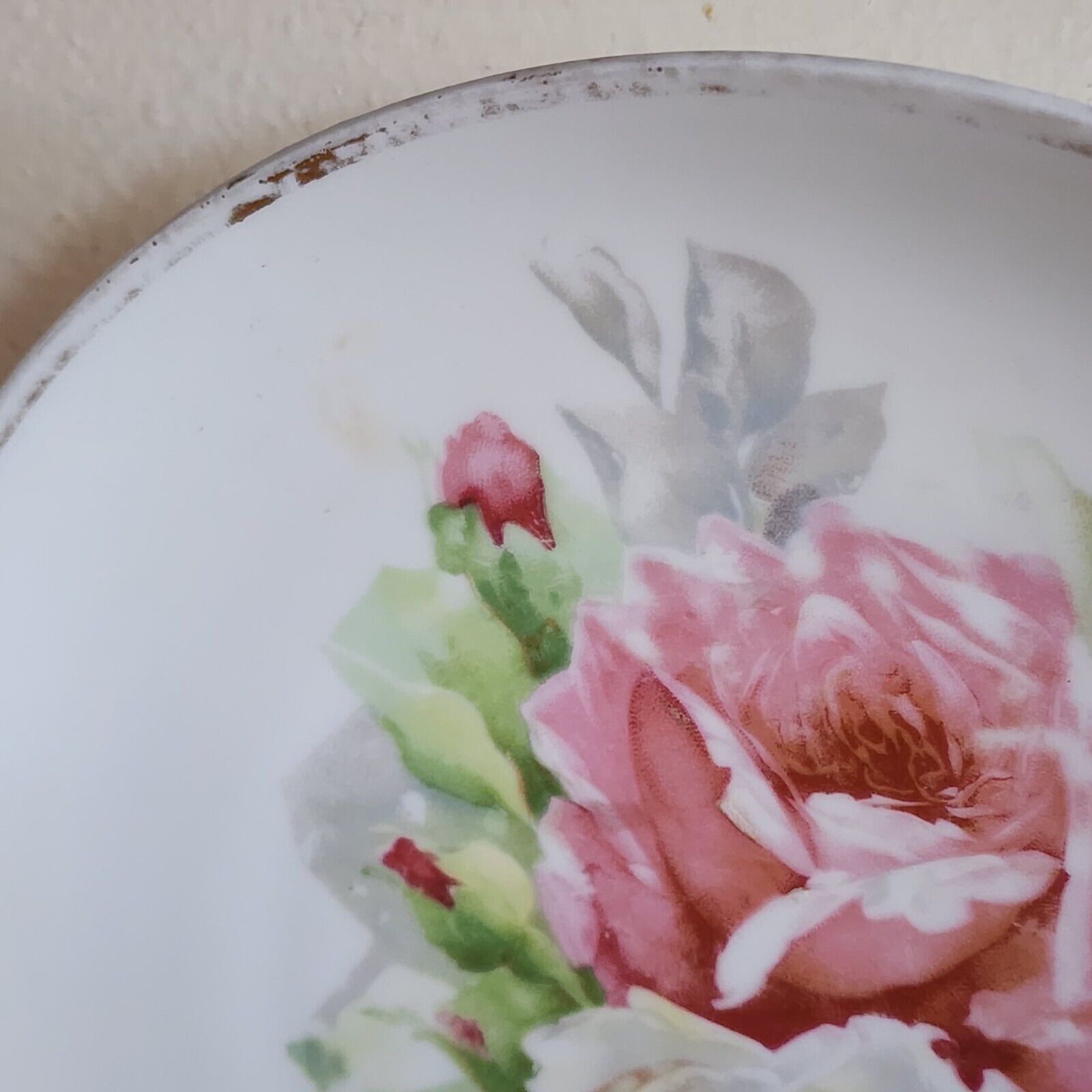 1899-1918 Antique Floral Hand Painted Plate 8 3/4″ O & E G Royal Austria