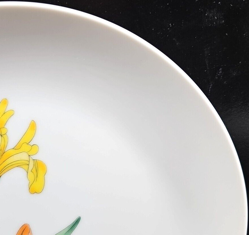 6 Shafford Jardin Des Iris Salad Plate Set Vintage Floral Dishes Japan Retro Lot