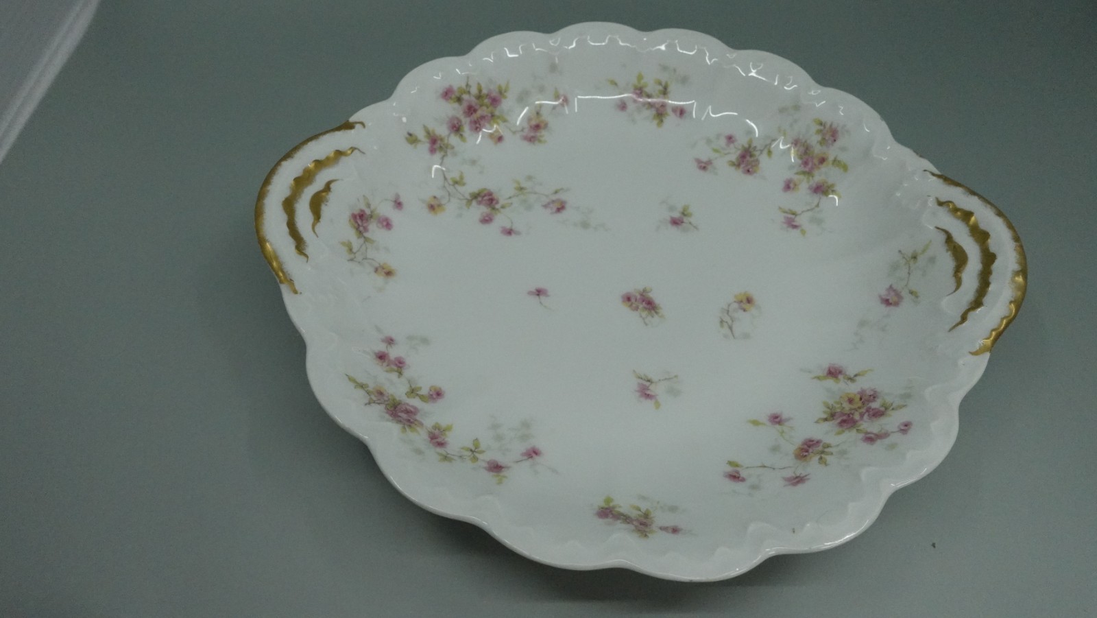 Theodore Haviland Limoges, Schleiger 150, 10.5″
