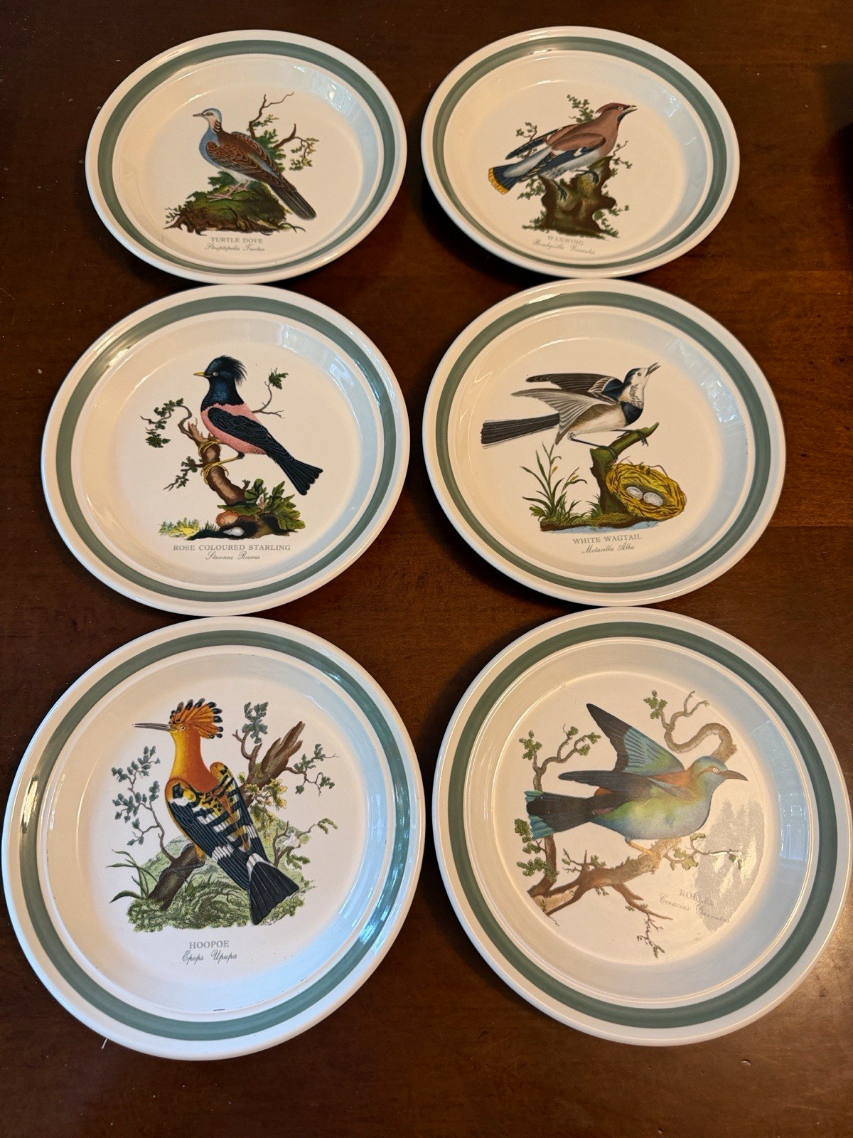 Portmeirion Birds of Britain Ceramic Salad Plates Green Rim 8 in Set of 6