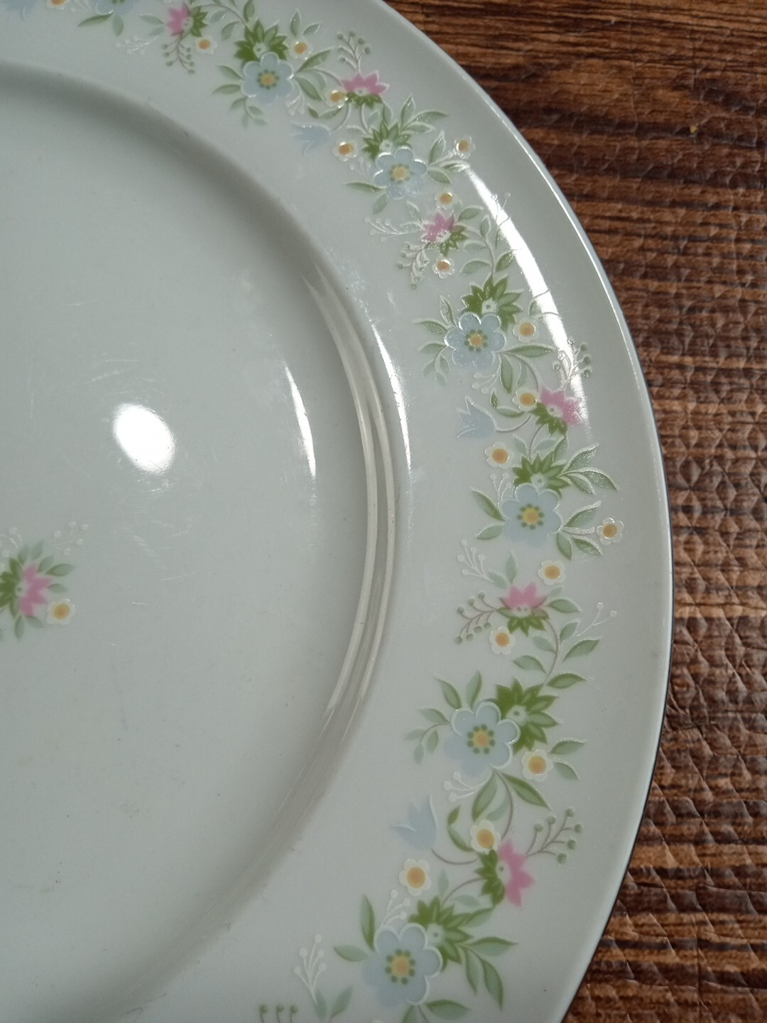 Johann Haviland Bavaria Germany Forever Spring Dinner Plate 10.25”