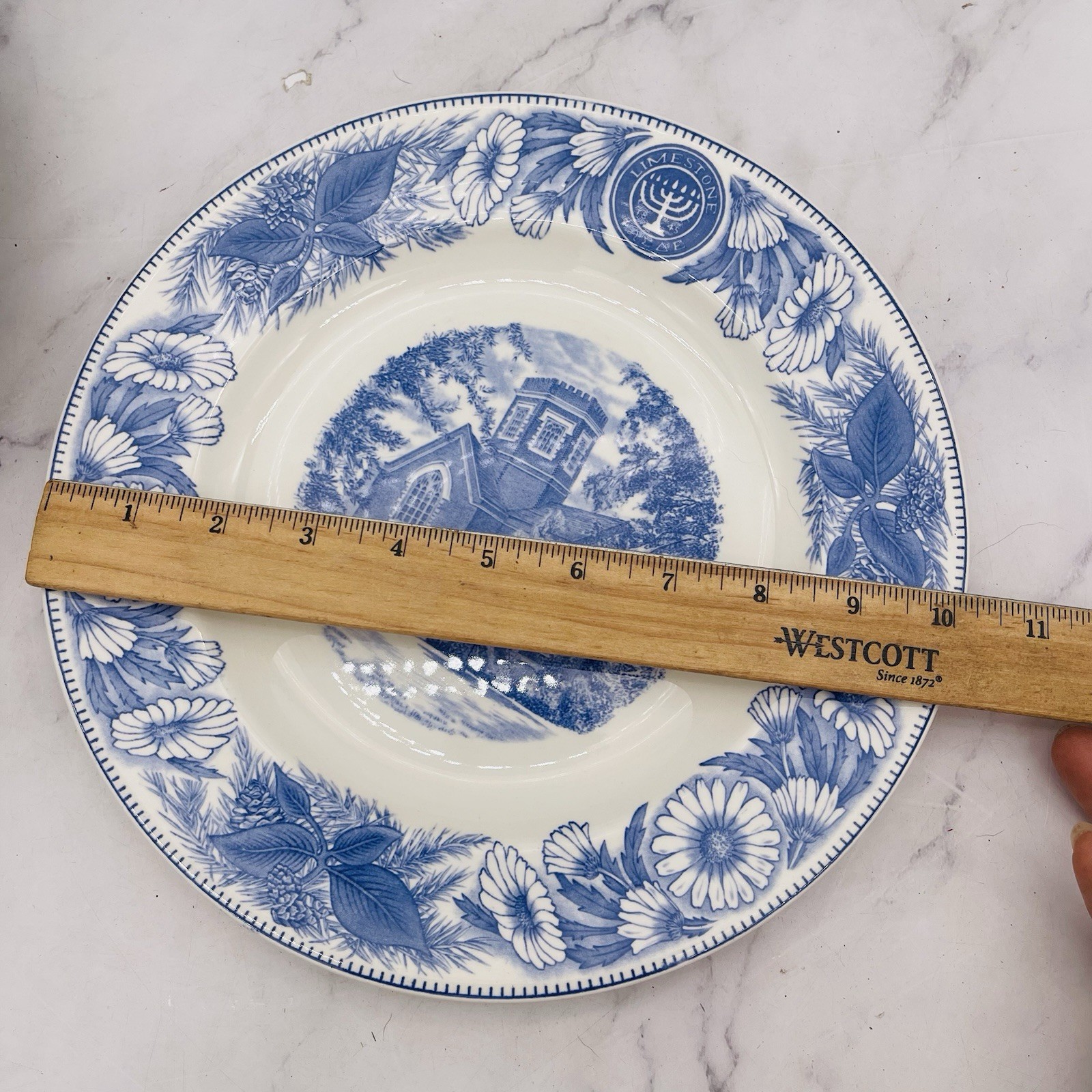 Set of 13 Vtg Atq Blue & White Plates Wall Collage Display Decor Mostly England