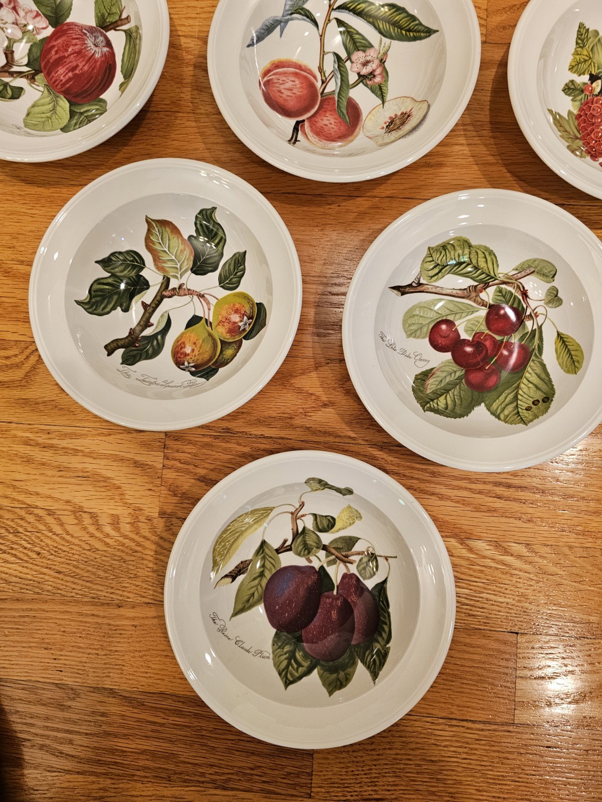 Portmeirion Pomona No Border Fruit 6.75″ Cereal Fruit Bowls Set Of 6 EUC Retired