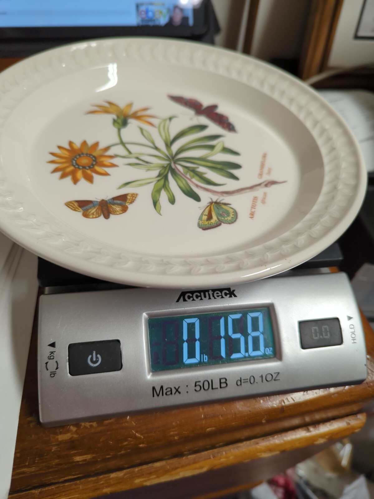 Portmeirion BOTANIC GARDEN HARMONY Papilio Opal 8 3/8″ Salad Plate African Daisy