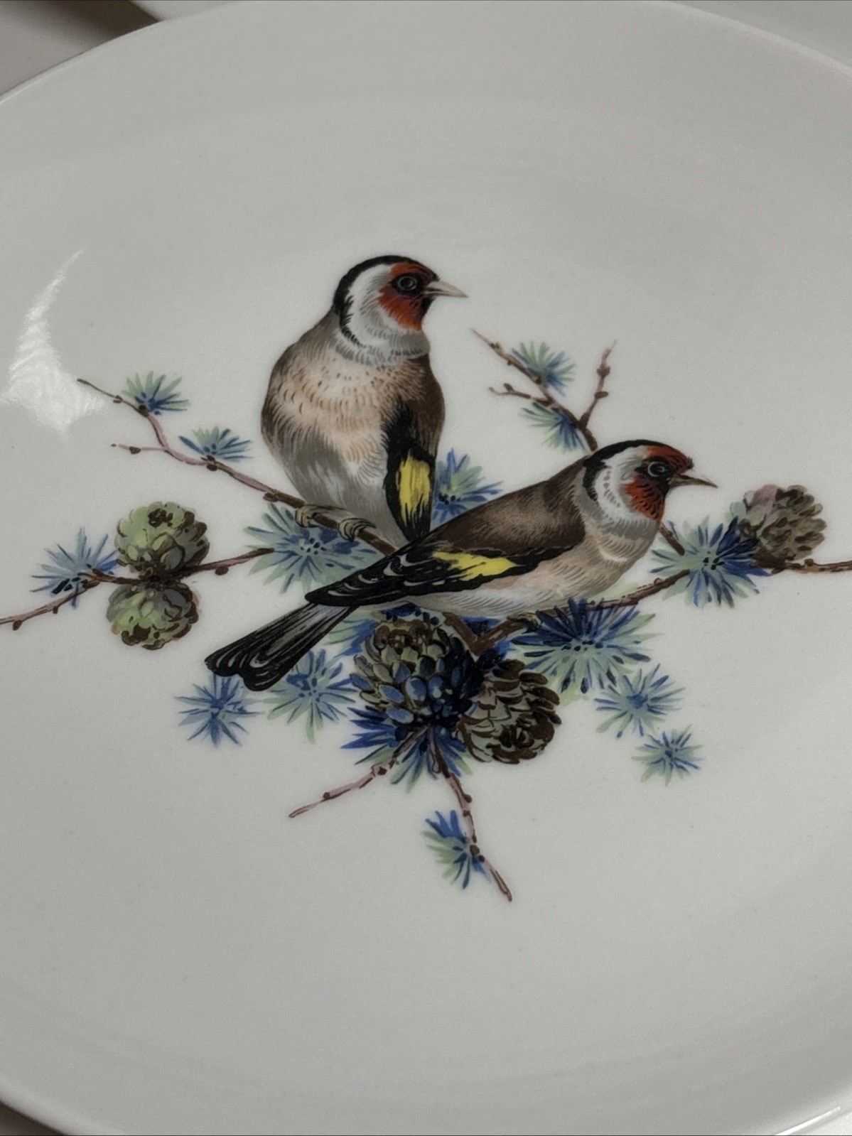 6 Vintage Hand Painted Bird & Floral Porcelain 7 3/4Wall Plates Kaiser W Germany