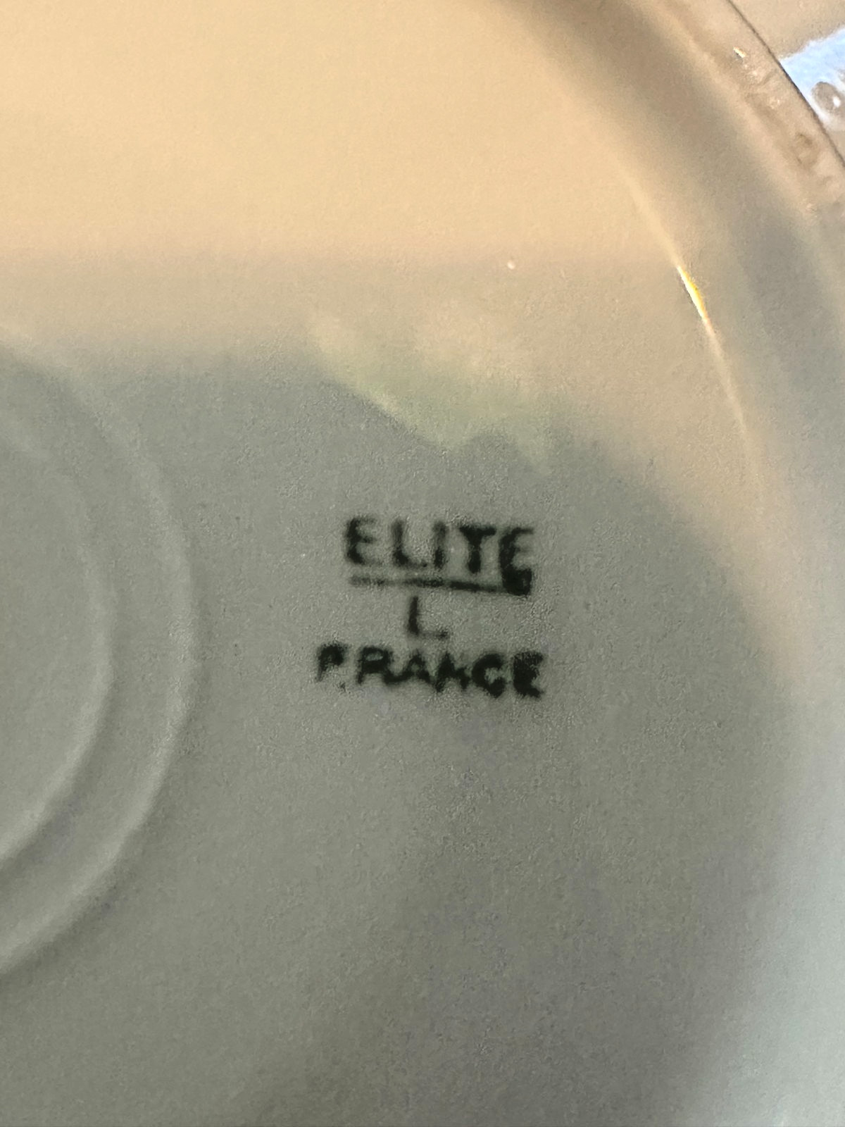 Limoges France Elite Bawo Dotter Rose Garland porcelain set.’