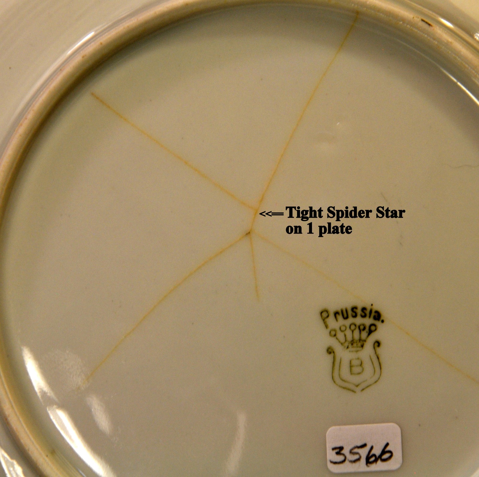 Royal Rudolstadt Beyer Bock 4 Bread Butter Plates 1905-1929 Nuts Gold Spider Web