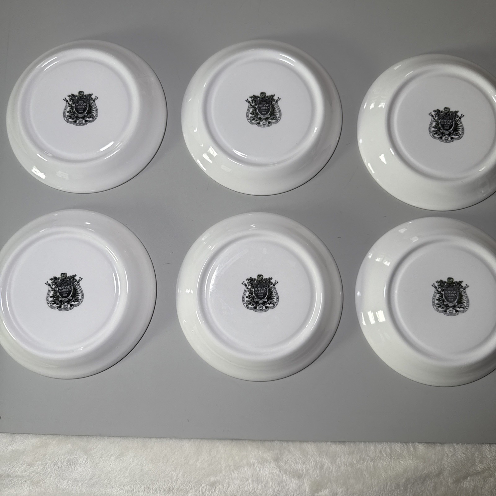 Portmeirion Botanic Garden Set of 6 Flat Cups & Saucers Made in England Assorted