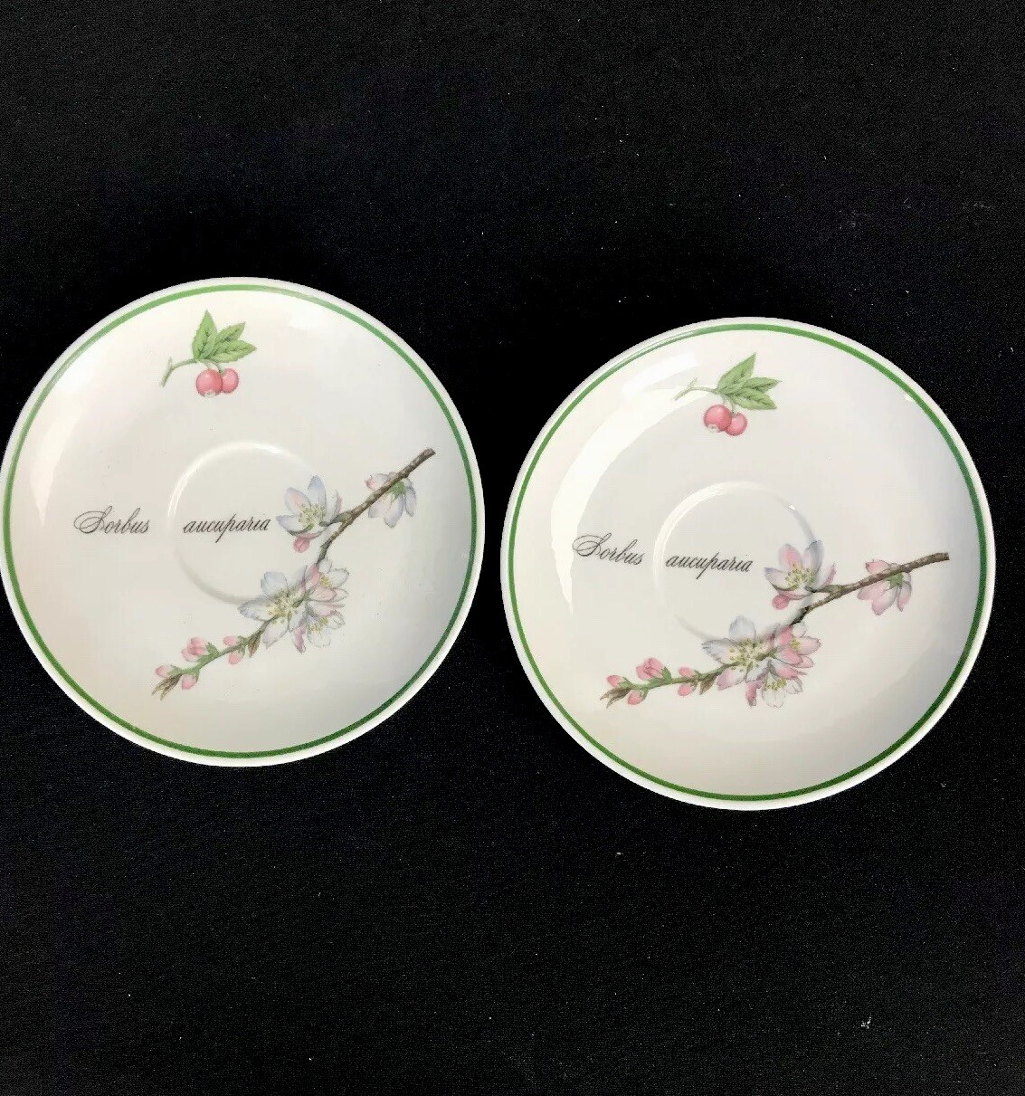 Apilco France Porcelaine Elysian Garden Two Saucers Botanical Floral Dinnerware