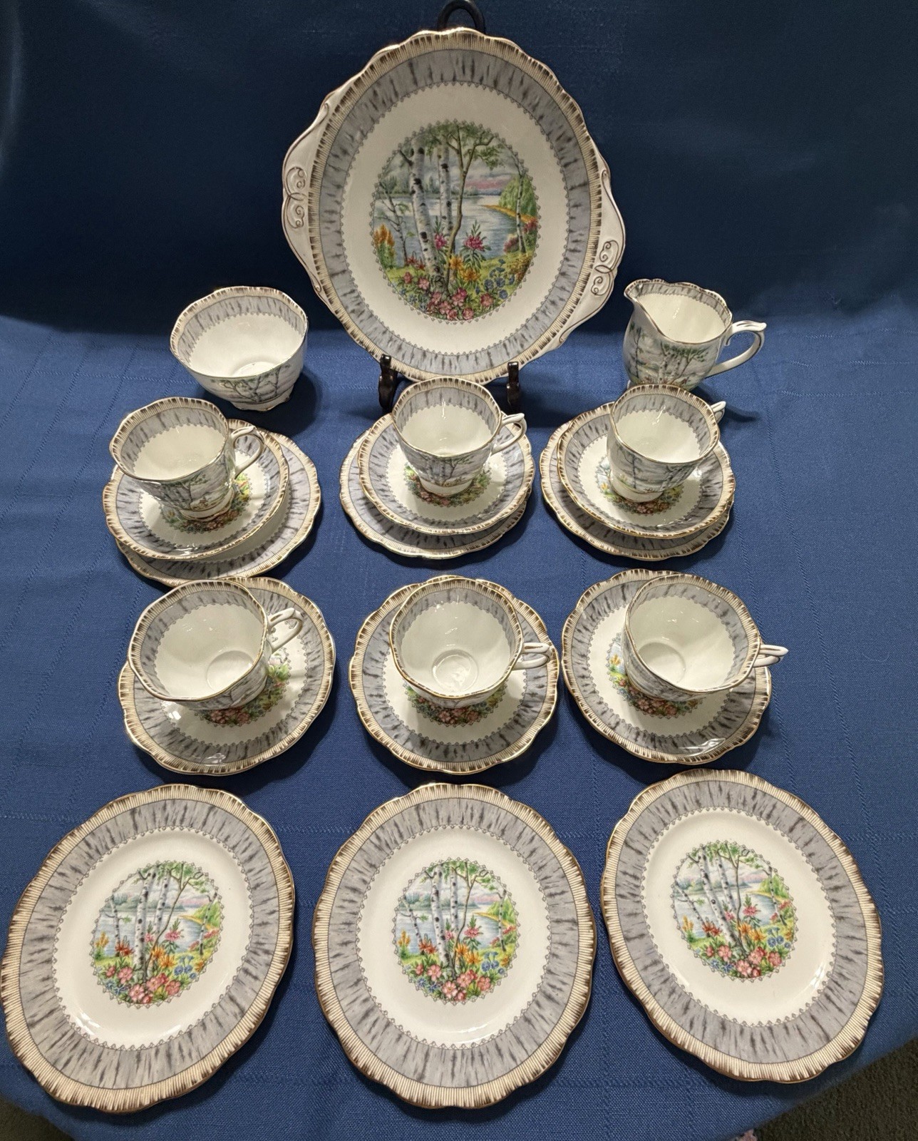 Royal Albert Silver Birch Cake Set for 6 Handled Plate C&S Cups & Saucers Plates