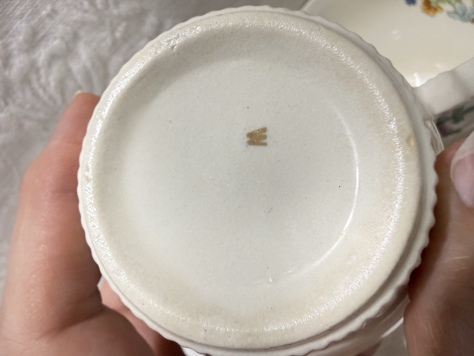 (2) Salem “INDIAN TREE” Victory Shape (Plain Ribbed Trim)-Cup & Saucer Sets