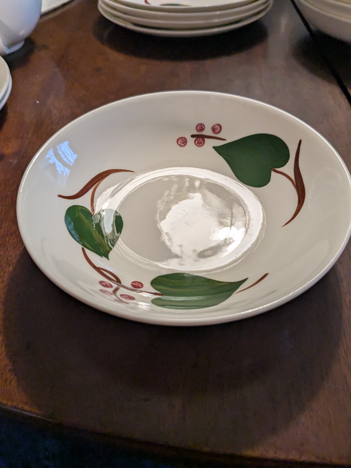 Blue Ridge Stanhome Ivy 17 Piece Set of Dishes.