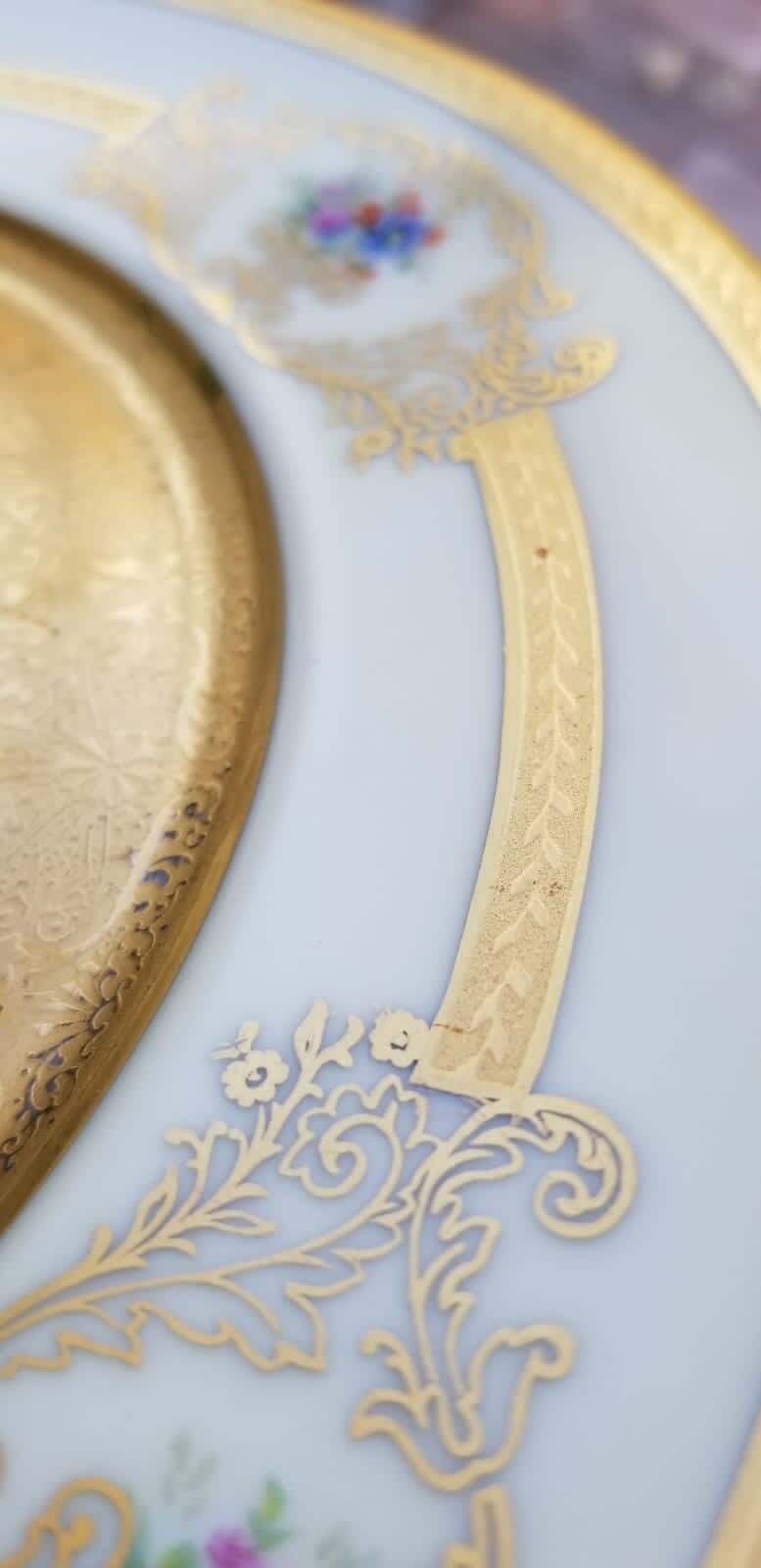 Set Of 12 Bohemian Gilt Porcelain Czeck Dinner Plates e/ Floral Design D 11”